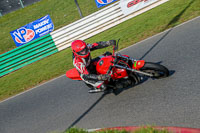 PJM-Wedding-Photography;enduro-digital-images;event-digital-images;eventdigitalimages;mallory-park;mallory-park-photographs;mallory-park-trackday;mallory-park-trackday-photographs;no-limits-trackdays;peter-wileman-photography;racing-digital-images;trackday-digital-images;trackday-photos